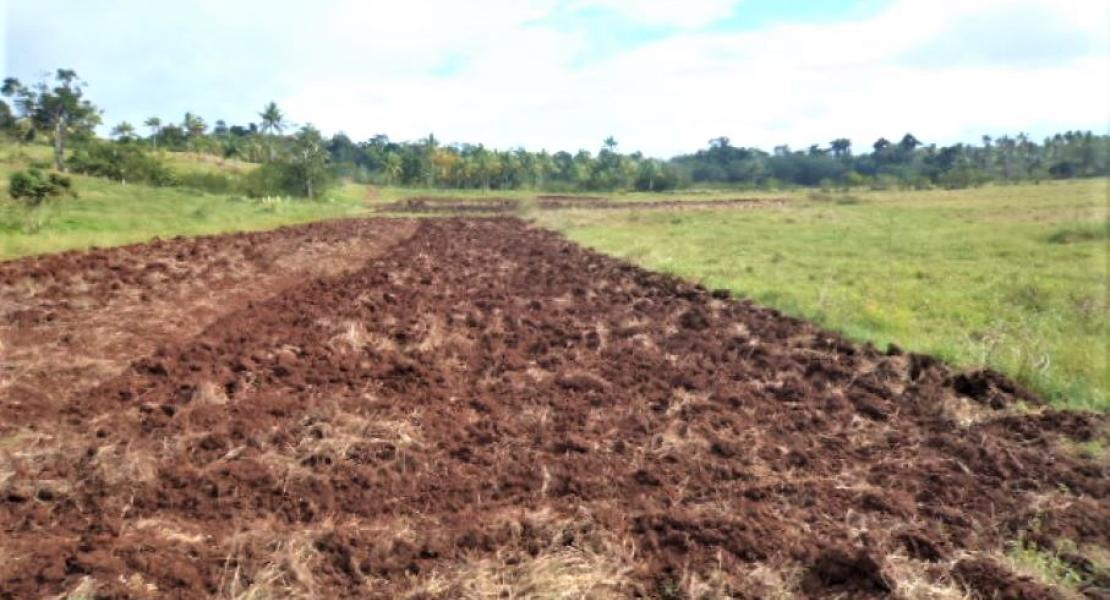 Agricultural freehold land, Fiji SouthPacificRealEstate